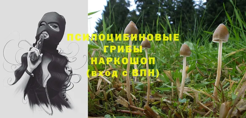 mega маркетплейс  Югорск  Галлюциногенные грибы Magic Shrooms 